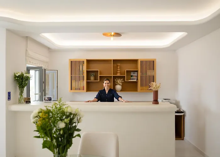 Otel Virtu On The Hill Stelida (Naxos)